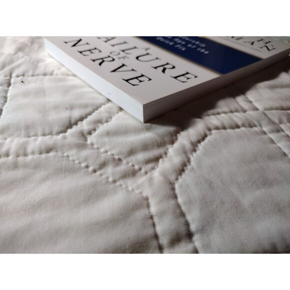 A Failure of Nerve: Leadership in the Age of the Quick Fix By Edwin H. Friedman - Picture 10 of 14